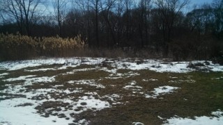 Absolute Auction of Builder Lots