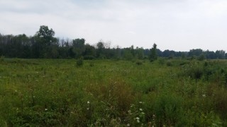 Country Building Lot in Morrow Co.