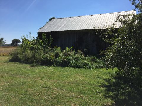 Side of Barn on 70 Acre Farm