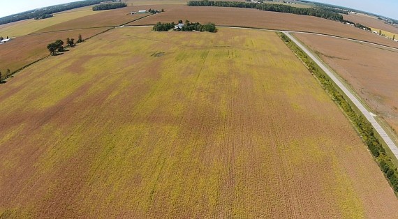 70 Acre Farm looking West