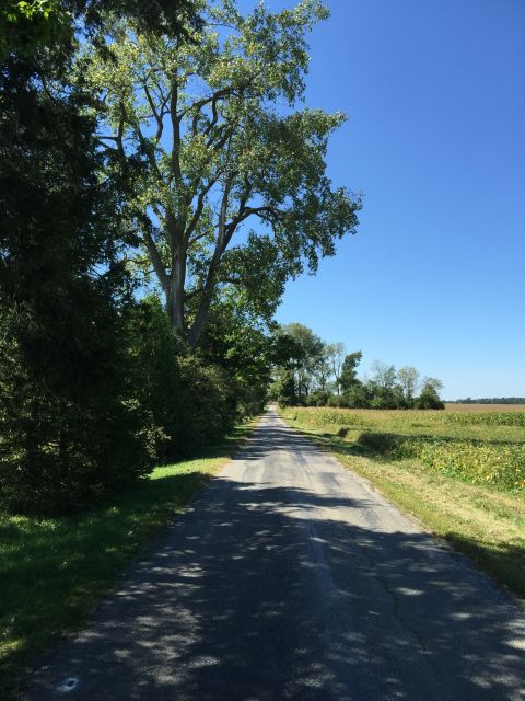 Looking West on Crubaugh Road