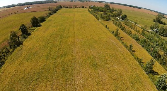 30 Acre Farm looking West