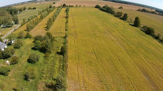 30 Acre Farm looking East