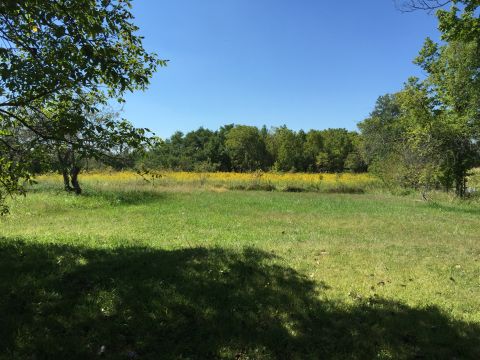 Side yard on 30 Acre farm