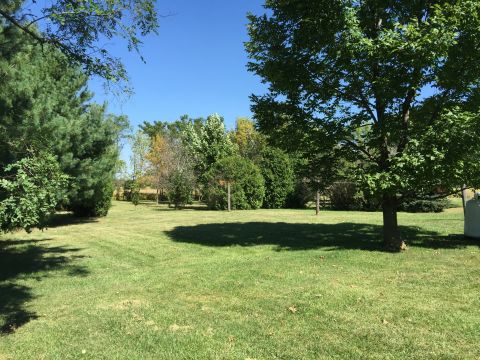 Trees near house on 70 Acre Farm