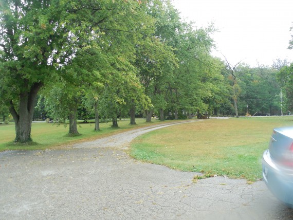 Driveway from Hunter Road showing mature trees