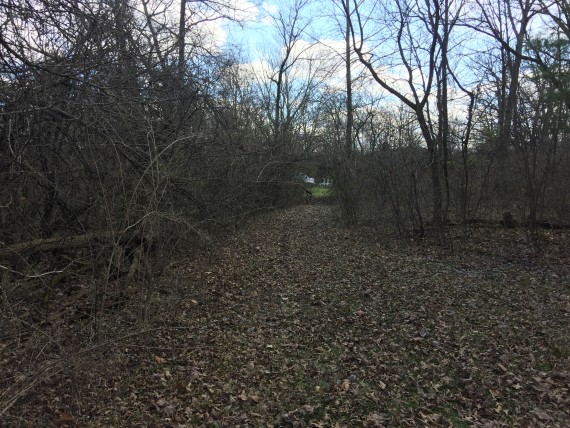 Pathway between both properties