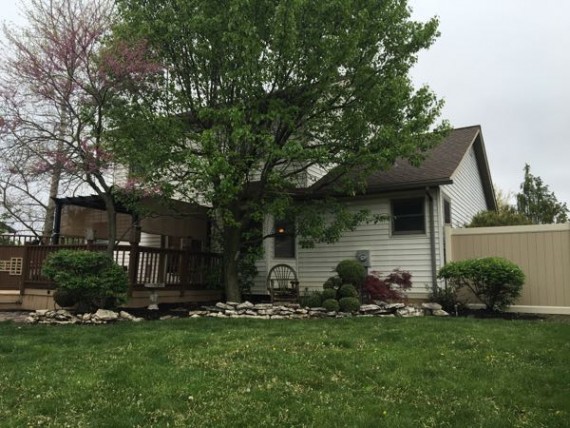 looking at house from back yard