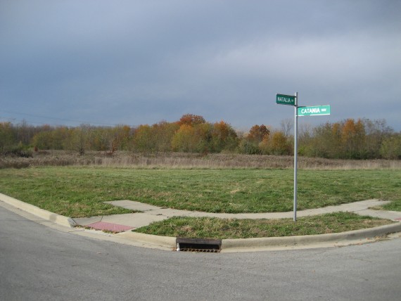 View of the Subject 10 Acre Parcel of Commercial Land For Sale.