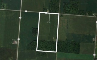 80 Acres of Farmland in NW Champaign Co. 