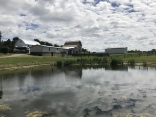 Mini-Farm close to Zanesville and Columbus