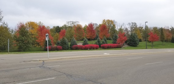 Trueman Boulevard & Shopping Center Entrance