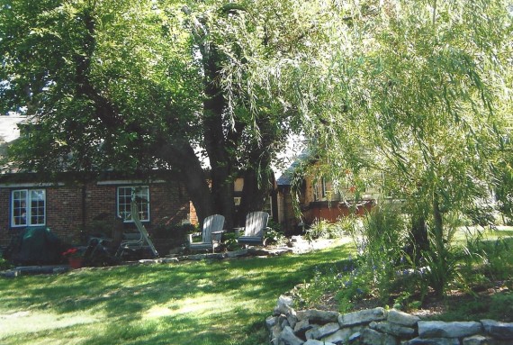 Back yard in Summer time