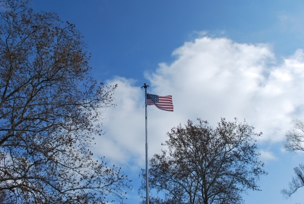 Flag pole