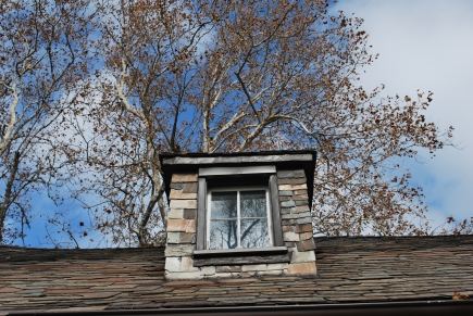 Roof and windows