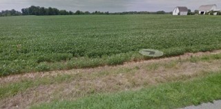 61.32 ACRES OF PRIME, PRODUCTIVE FARMLAND FOR AUCTION