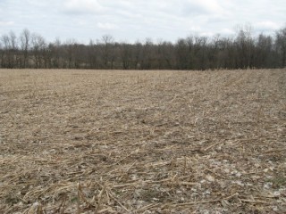 Logan Co. 51 Acres of Farmland