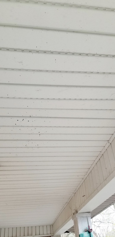 Back Porch Ceiling