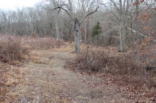 20 Acres Southern Ohio