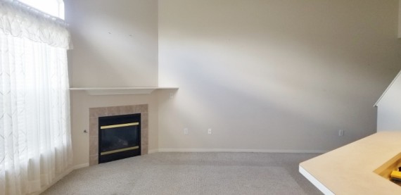 Vaulted Ceiling Living Room With A Fireplace