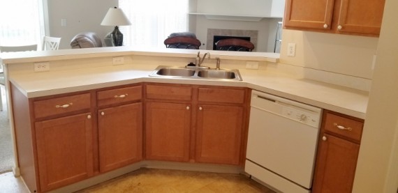 Kitchen Built-in Dishwasher