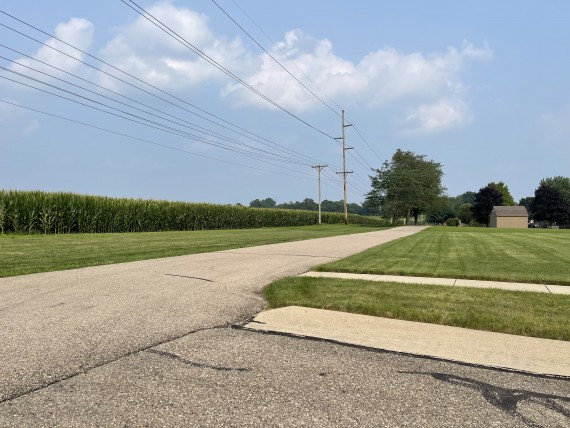 Bike path looking at crops on bidding lot 1