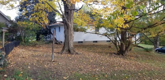 Nice Large Back Yard Mature Shade Trees