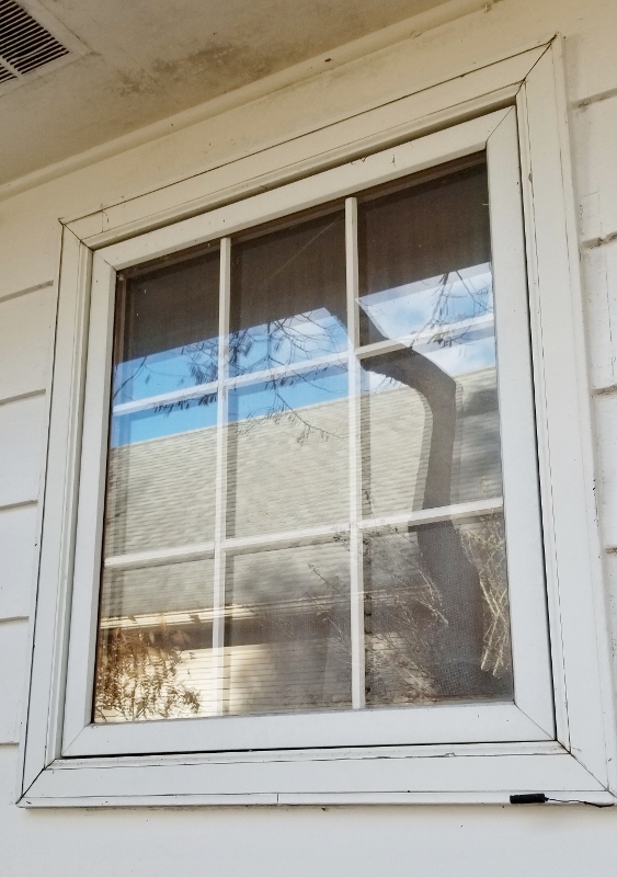 New Replacement Insulated Windows