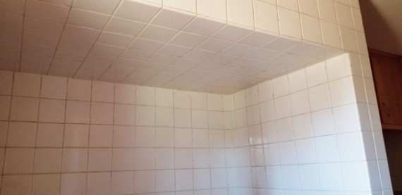 Gorgeous Tile Walls & Tile Ceiling Above The Tub