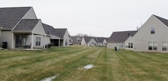 Back Yard Common Green Space