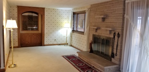 Living Room Gas or Wood Burning Fireplace