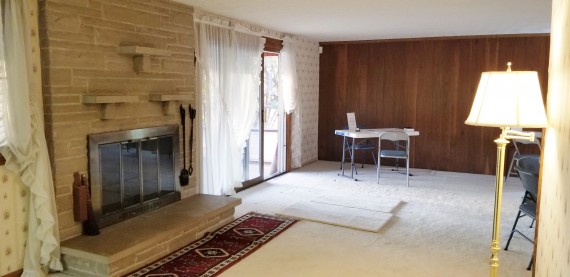 Living Room Gas or Wood Burning Fireplace