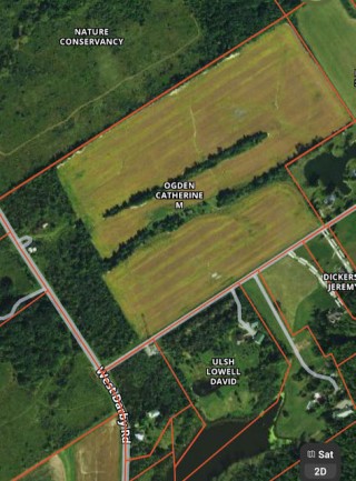 52 +/- Acre Union County Land