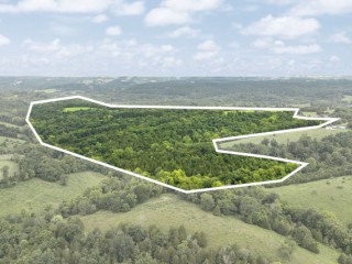 256 Acres in Fleming Co. Kentucky