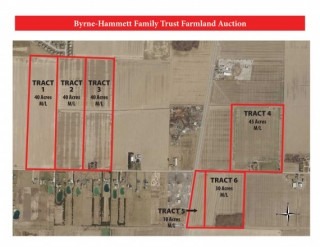 205 Acres Prime Wood County Ohio Farmland