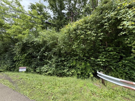 7445 Mentz Rd