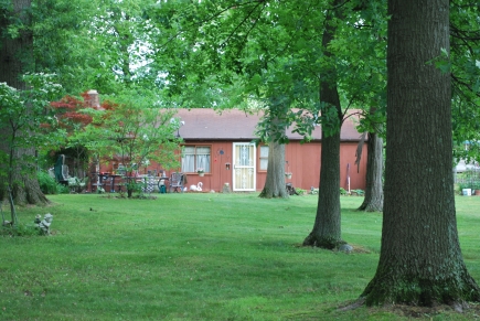 View of the house from the woods