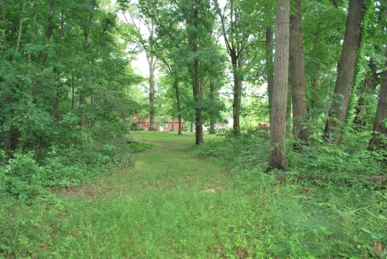 Some of the woods by the house