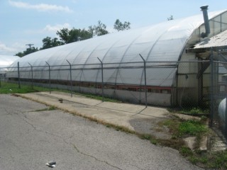 Greenhouse Business / Real Estate Auction