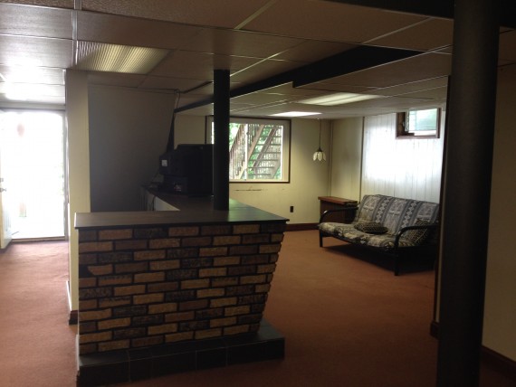Rec Room in the walk out basement