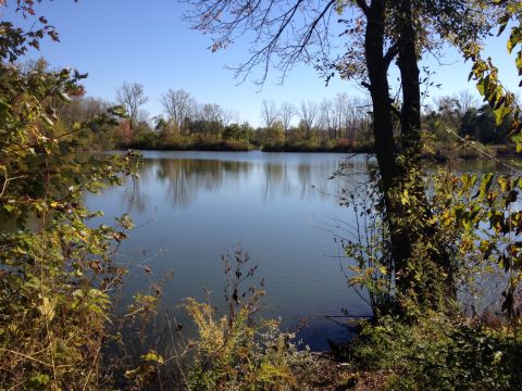 View of Pond to the East