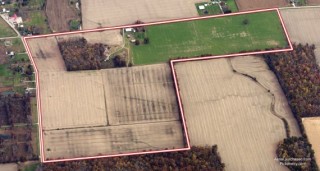 Absolute Auction of 121.79 Acres of Mostly Tillable Land in Brown County