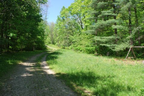 Gravel Rd. near creek