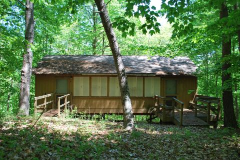 Cabin on stilts