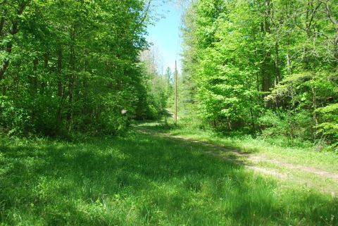 Gravel Road