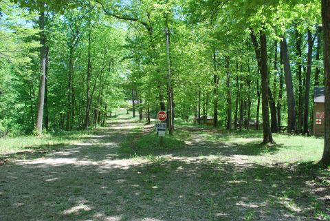 Entrance Rd. leading past Infirmary